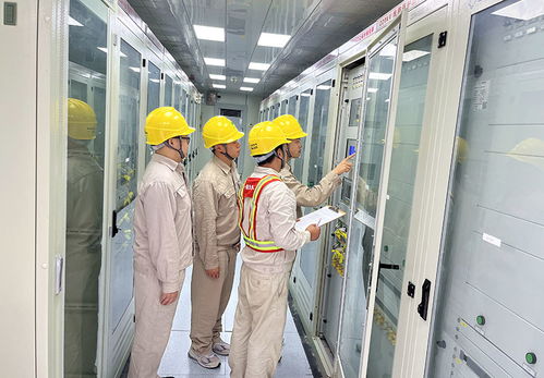 國網(wǎng)安岳縣供電公司 黨建帶團建賦能 人工搬運服務(wù)助力重大項目建設(shè)